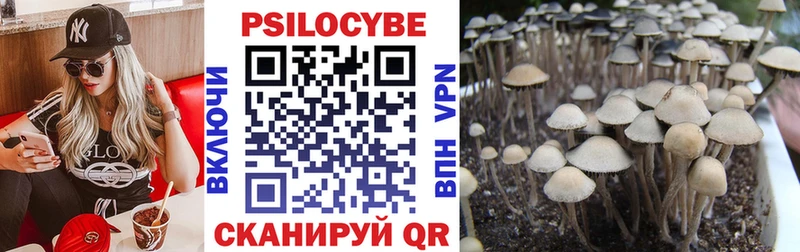 Псилоцибиновые грибы прущие грибы  продажа наркотиков  Кострома 