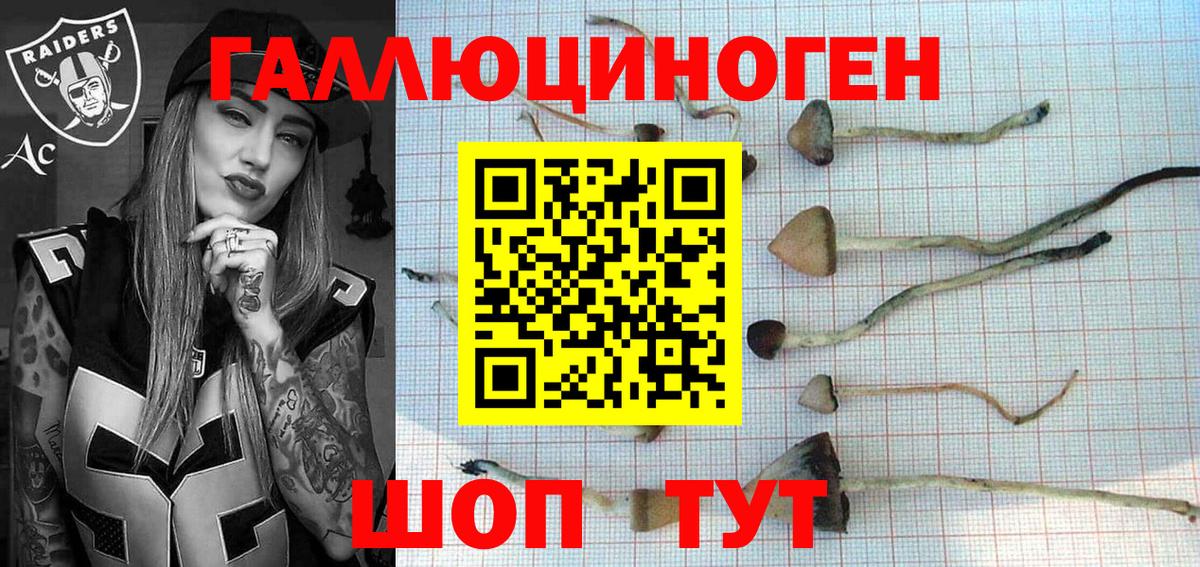 Псилоцибиновые грибы Magic Shrooms  Псилоцибиновые грибы мухоморы  Вход с VPN  Кострома 