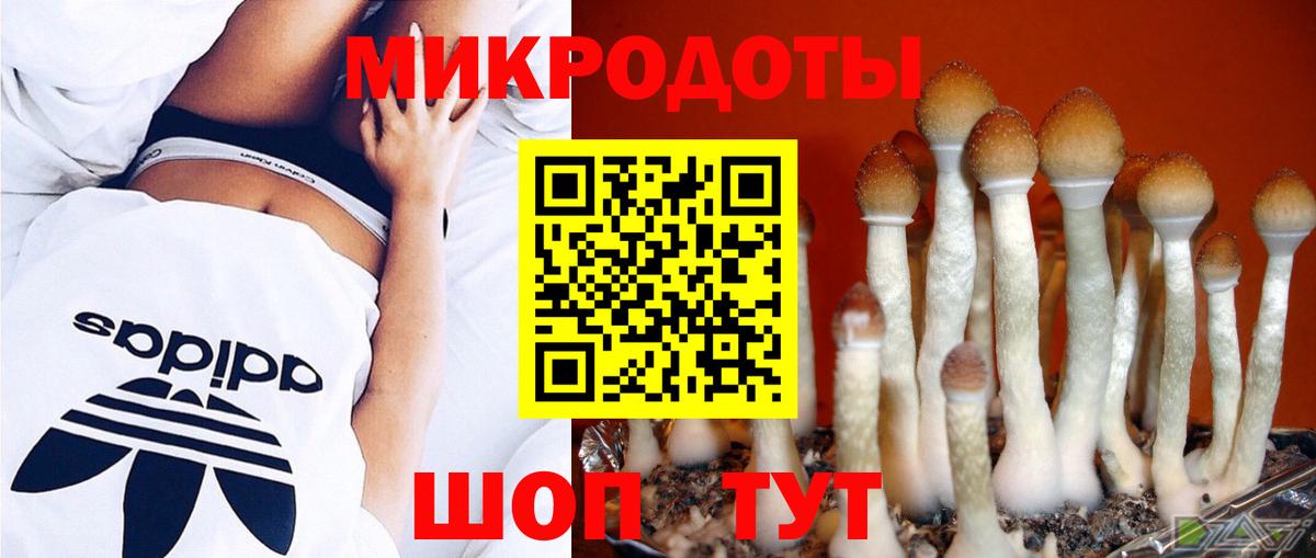 Галлюциногенные грибы MAGIC MUSHROOMS Кострома
